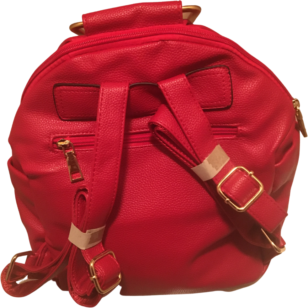 Delta Sigma Theta Backpack
