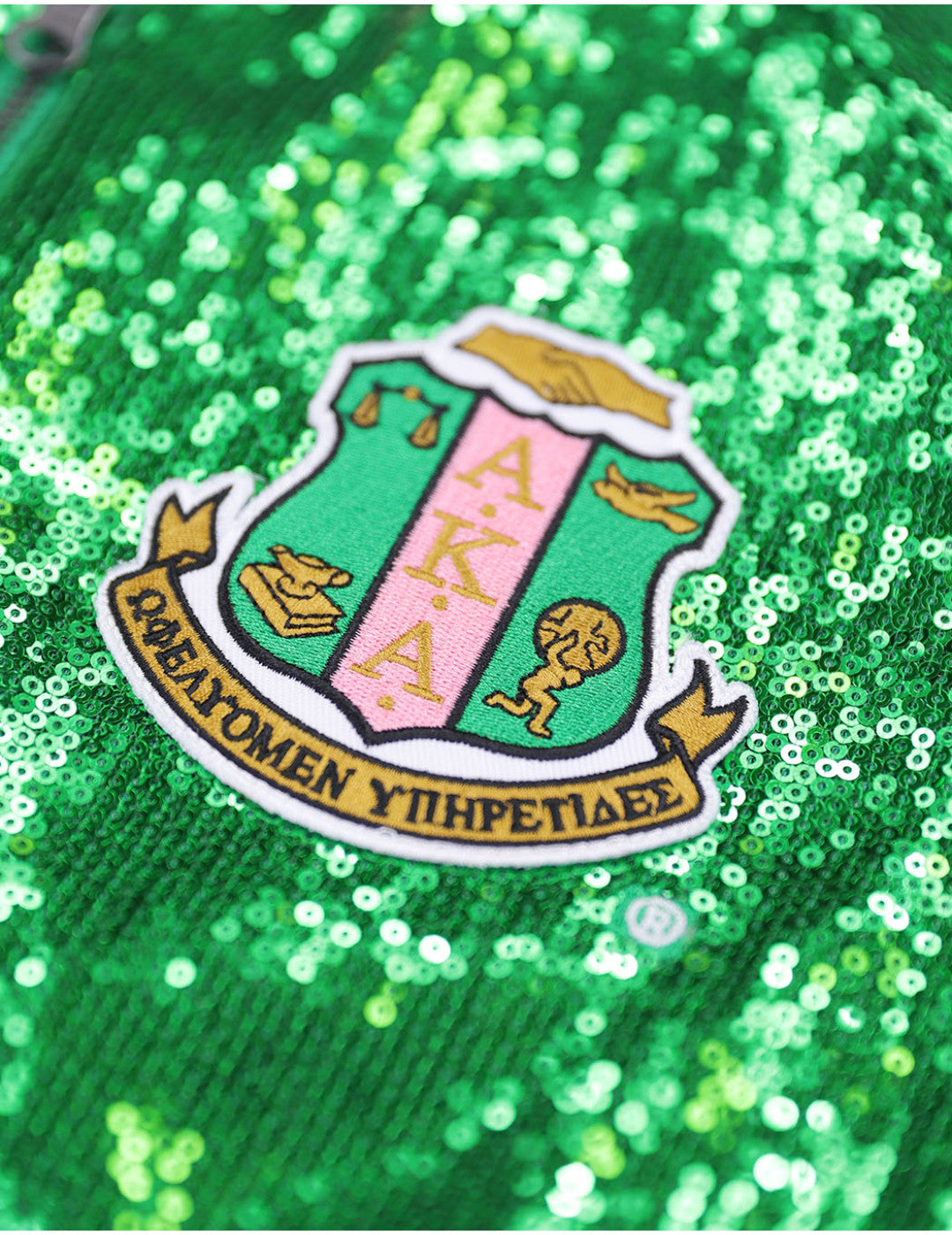 "Detailed view of the AKA sorority shield, highlighting the organization’s emblem and timeless symbolism."