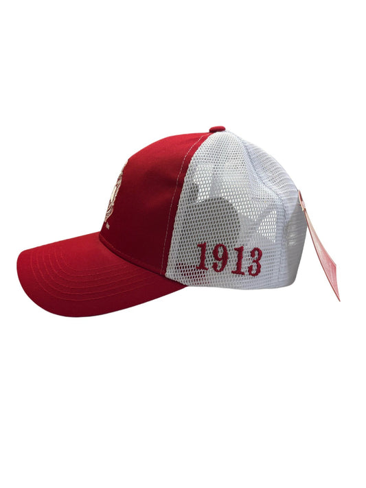 Delta  Sigma Theta Trucker Style Hat