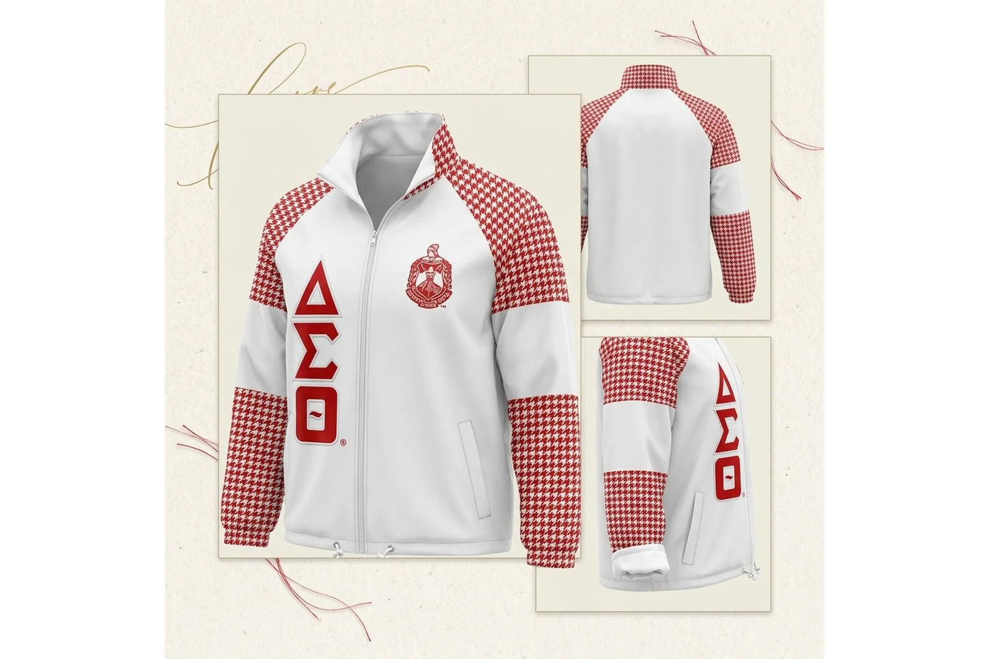 DST Delta Sigma Theta  Sorority Sport Windbreaker