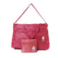 Delta Sigma Theta   Travel Folding Bag