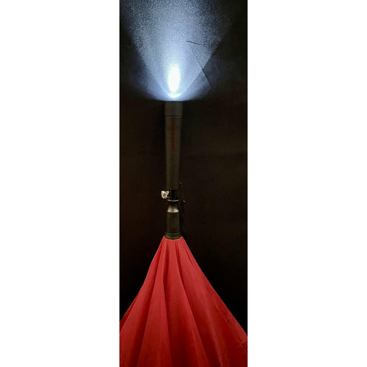 Delta Sigma Theta Inverted Umbrella w/ Light Handle
