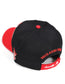 Delta Sigma Theta Greek Letter Cap