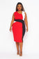 Delta Sigma Theta  Color block Dress
